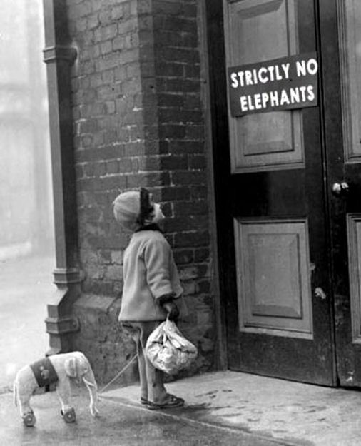 strictly-no-elephants